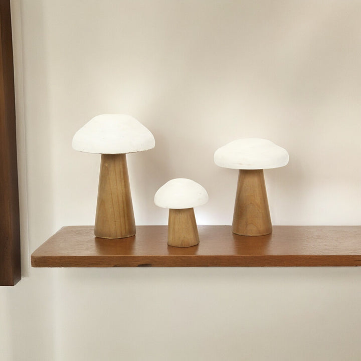 6005 - Hareton Forest Mushroom