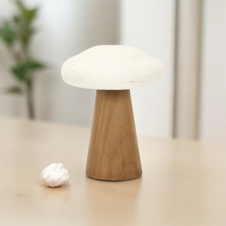 6005 - Hareton Forest Mushroom