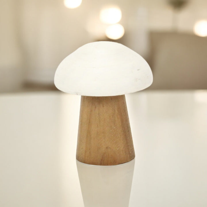 6005 - Hareton Forest Mushroom