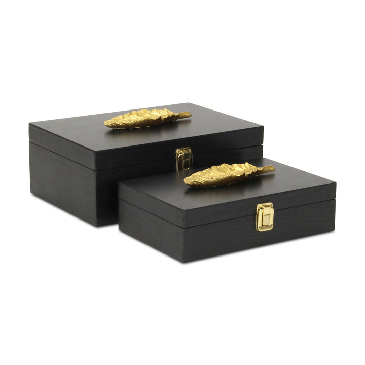 6048-2FBK - Canorus Feather Accent Box Set