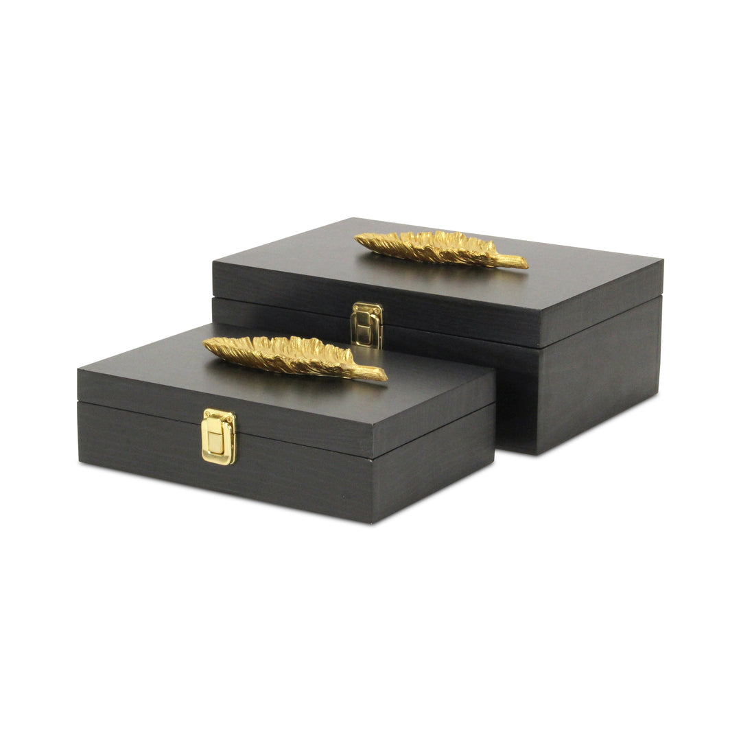 6048-2FBK - Canorus Feather Accent Box Set