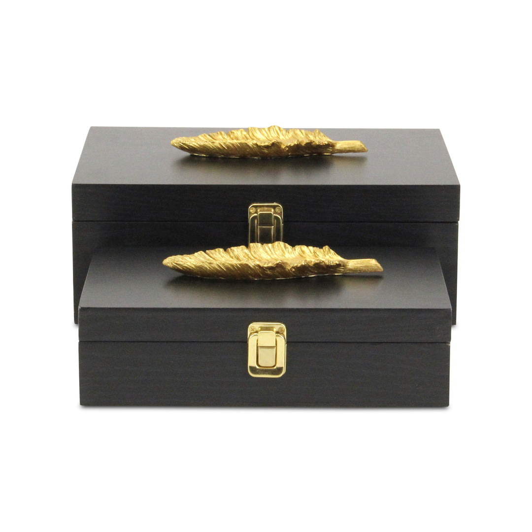 6048-2FBK - Canorus Feather Accent Box Set