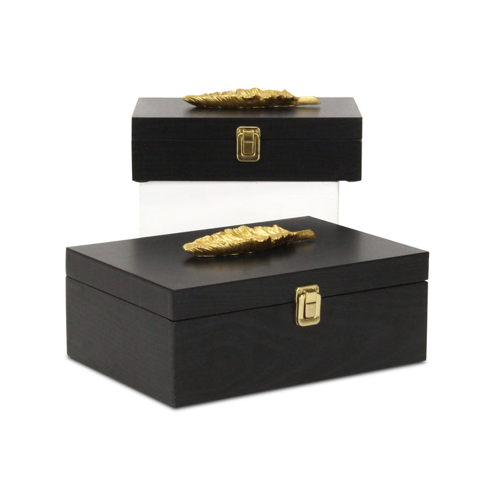 6048-2FBK - Canorus Feather Accent Box Set