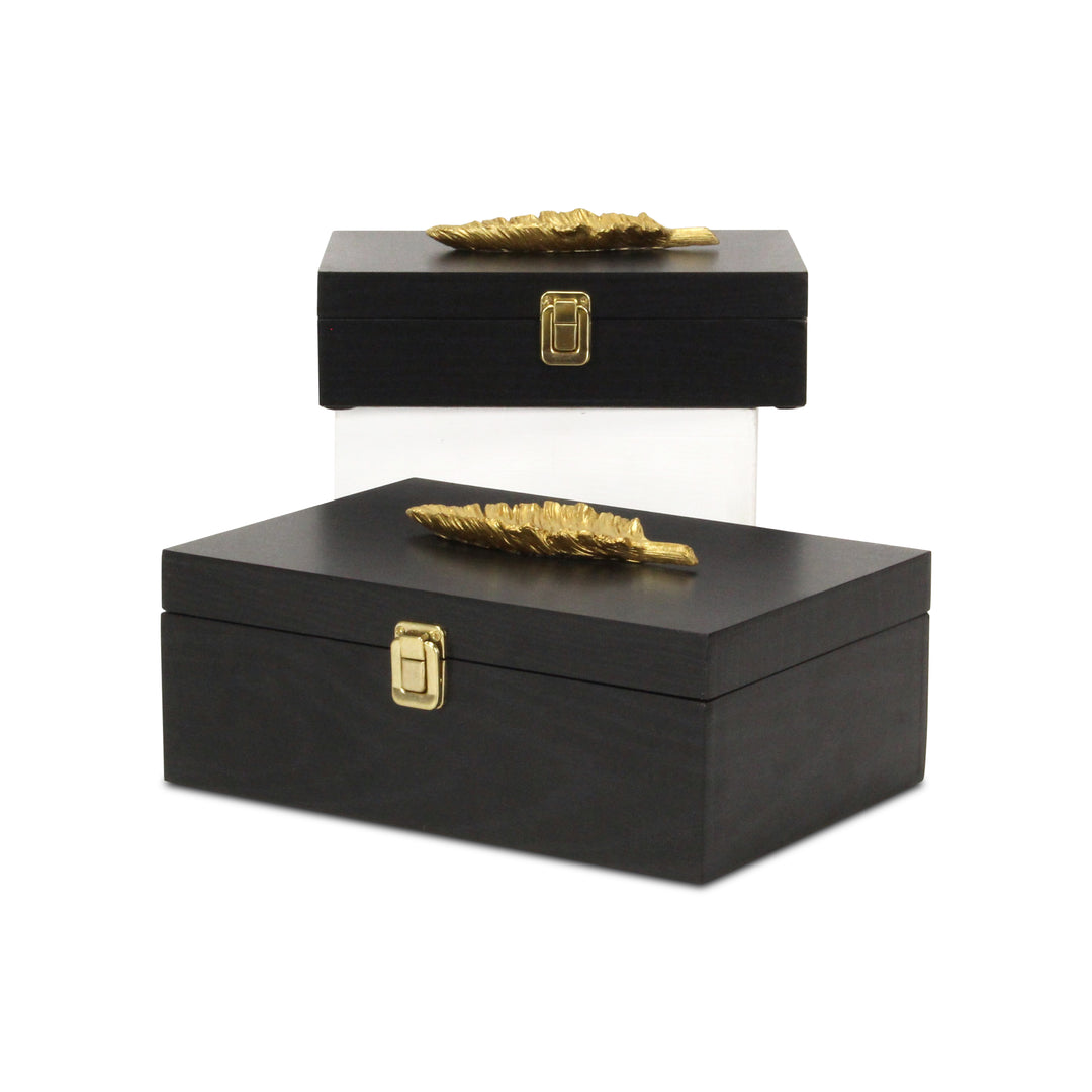 6048-2FBK - Canorus Feather Accent Box Set