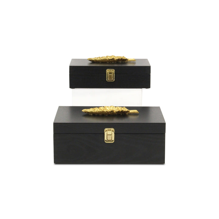 6048-2FBK - Canorus Feather Accent Box Set