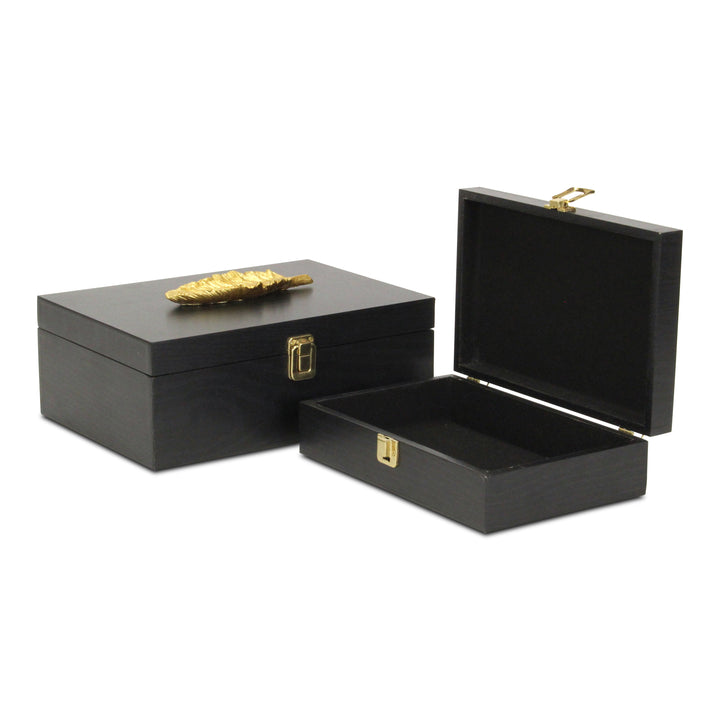 6048-2FBK - Canorus Feather Accent Box Set