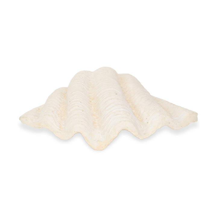 6134 - Vail Sea Shell Catchall Tray