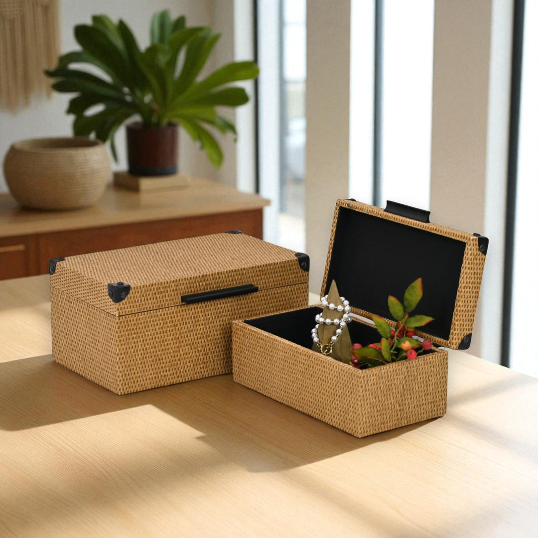 6180-2 - Iseult Artafiber Linear Style Box Set