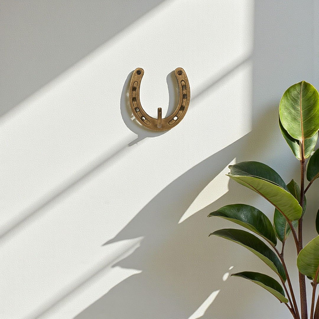 6252 - Pecara Horseshoe Wall Hook